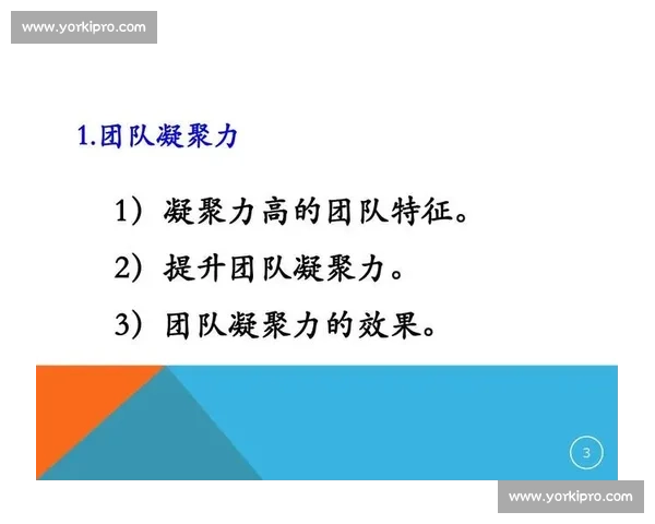 以团队协作与优势互补为核心构建高效团队提升整体竞争力