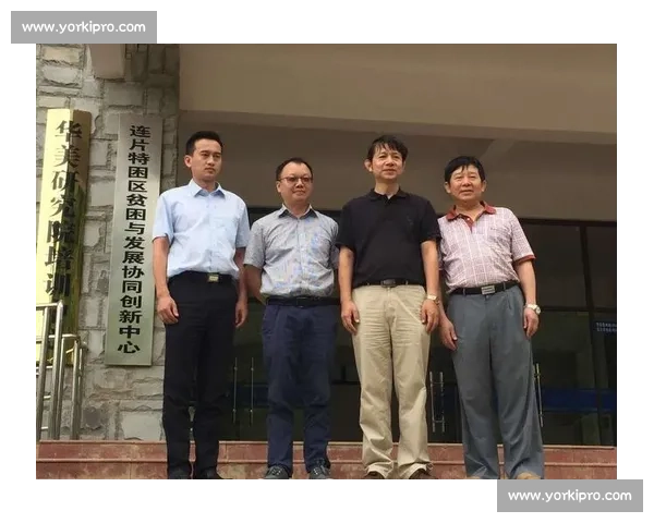 以默契配合为核心打造高效协同团队实现共赢发展的创新路径探索