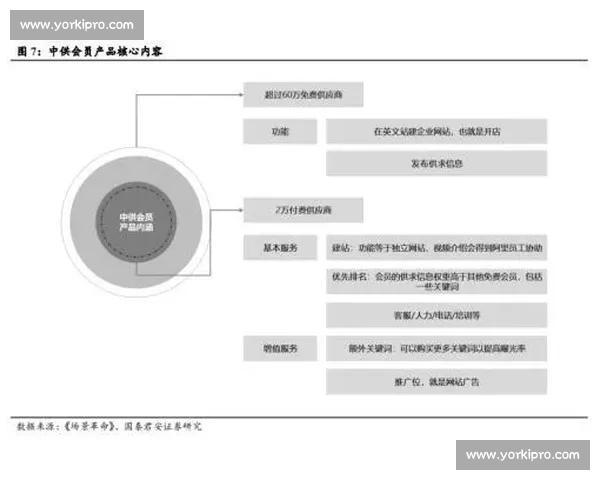 以学习能力为核心探讨如何提升个人成长与职业发展的多维路径