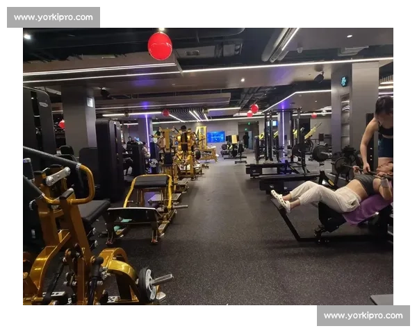 循环训练法：提高健身效果与耐力的全方位锻炼策略