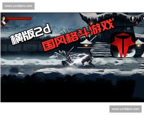 从无名之辈到综合格斗冠军的崛起之路与荣耀背后的真实故事全景纪实