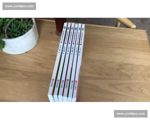 提升专注力与效率的科学方法及日常实践指南 提升专注力与效率的科学方法及日常实践指南