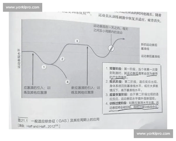 体育科学视角下运动表现提升与训练策略创新研究探索 体育科学视角下运动表现提升与训练策略创新研究探索