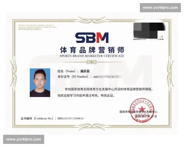 全球体育组织协作机制创新与赛事管理发展研究