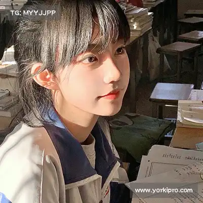 时杨慈
